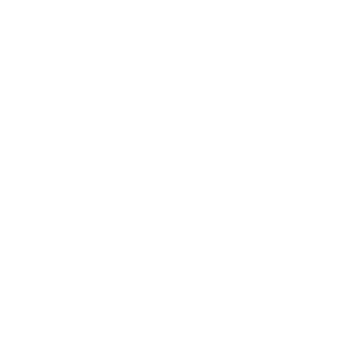 Web-Icon